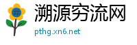 溯源穷流网